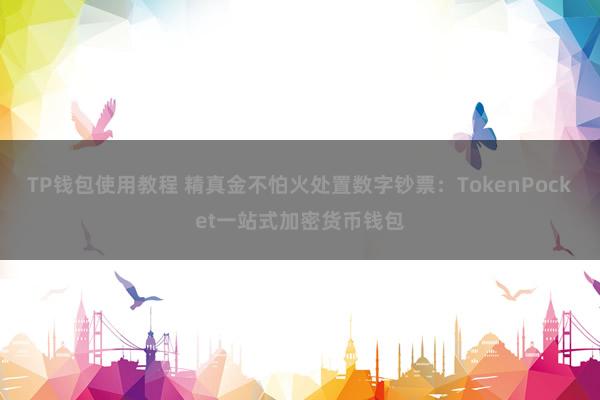 TP钱包使用教程 精真金不怕火处置数字钞票：TokenPocket一站式加密货币钱包